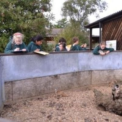 Year 7 taking meerkat notes